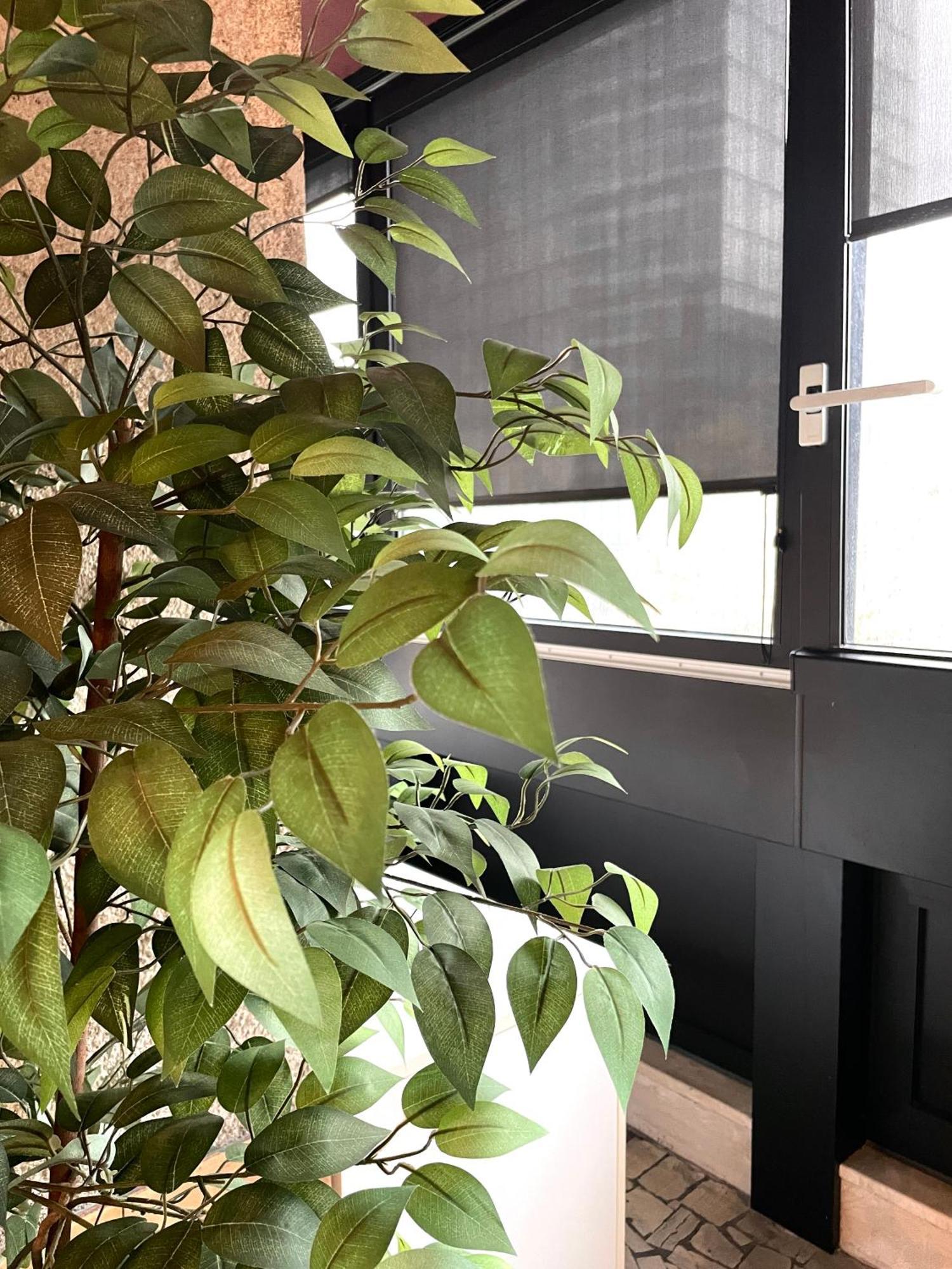 Appartement Kozolec - Location